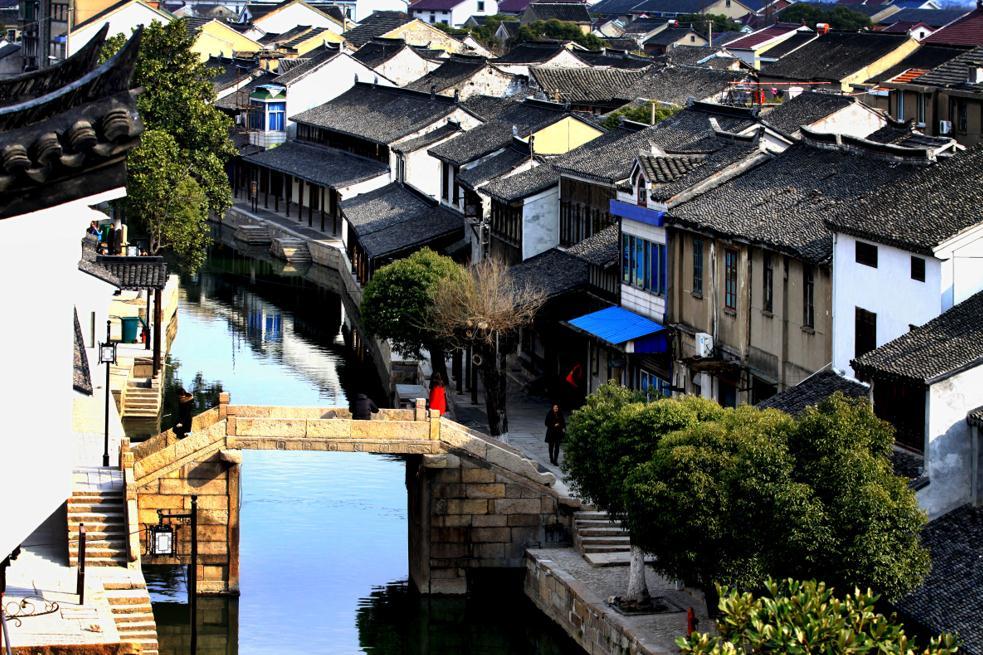 冰河时代的远古病毒被复活，由此揭开远古病毒的面纱