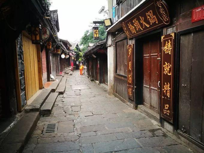 救援非洲金猫